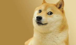 rqt